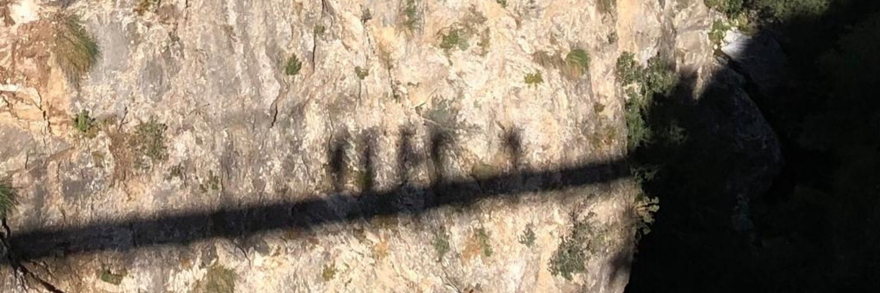 Rubiño 
