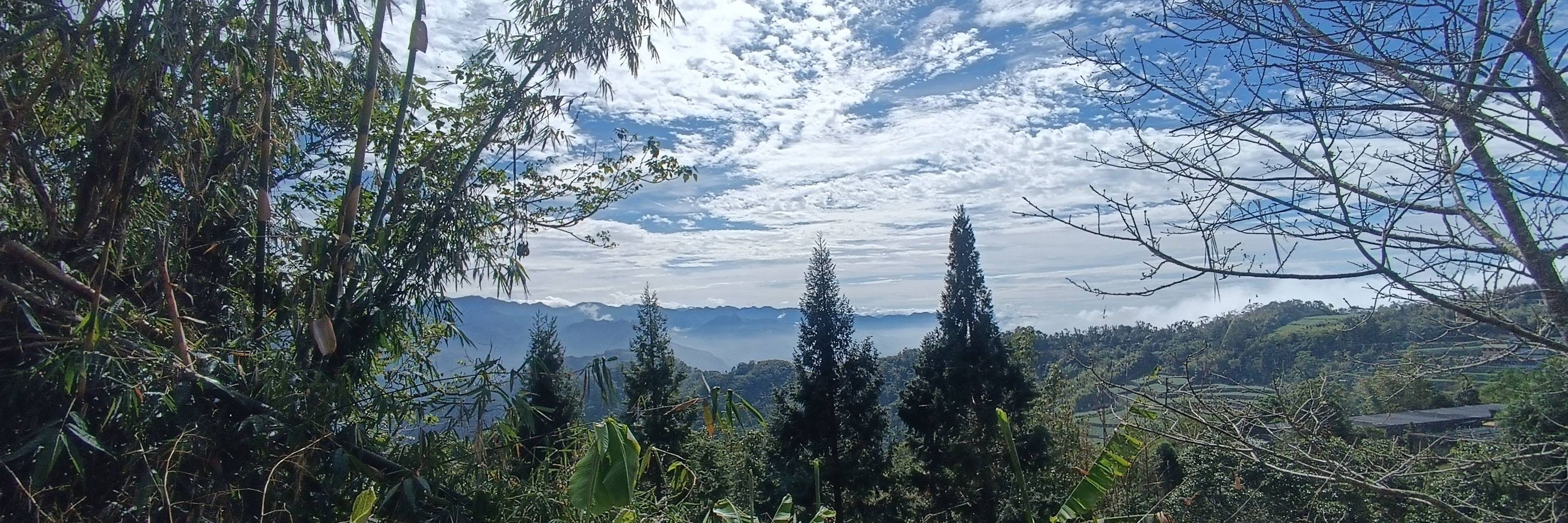 張全可