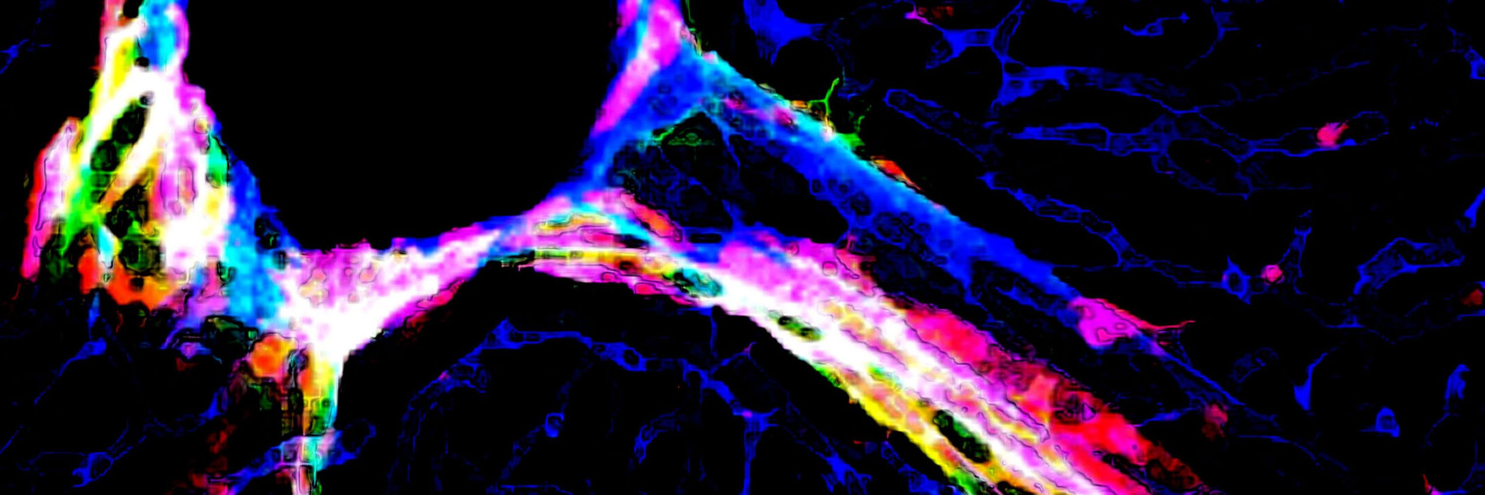 Journal of Experimental Medicine