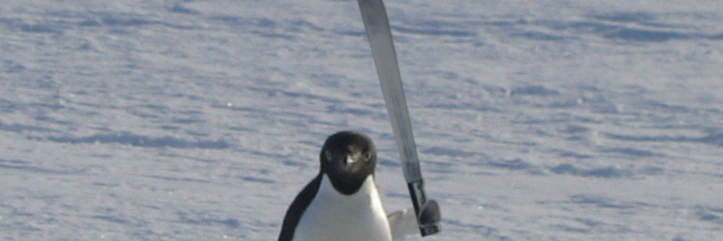 LinuxIsBetter
