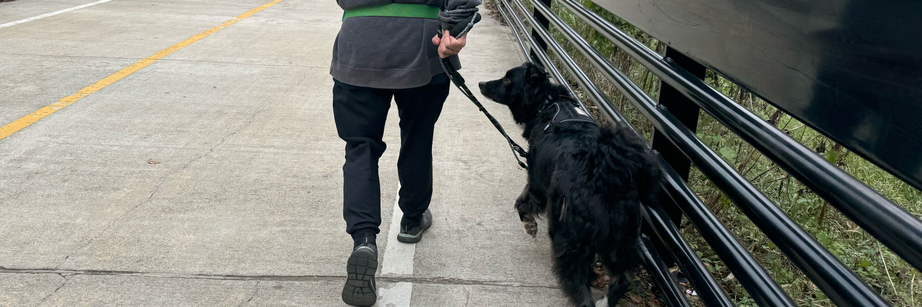Espresso Dog Training