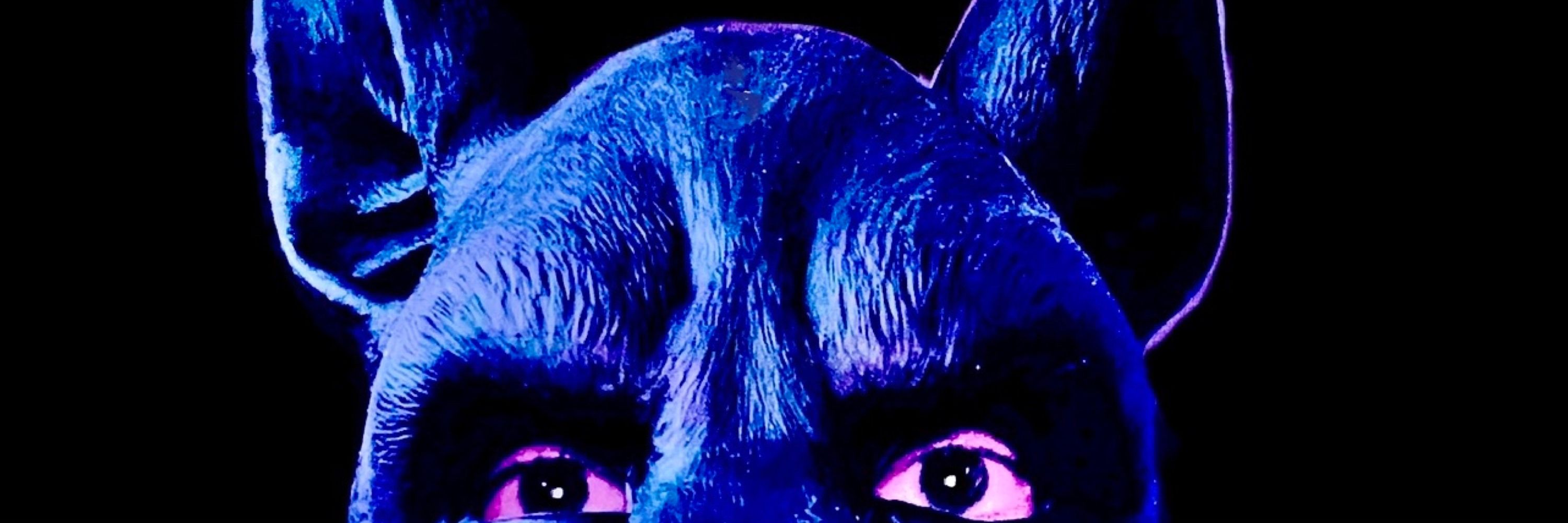 Saturn.TheDogXO