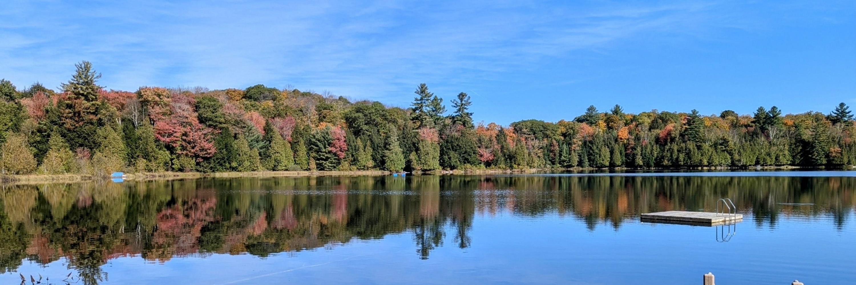 Algonquin 🇨🇦