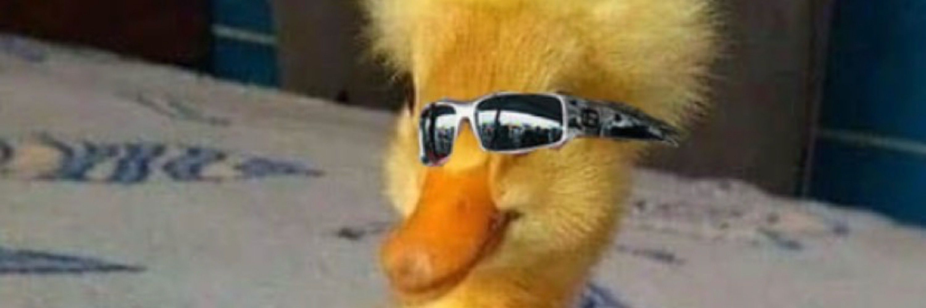 Papito