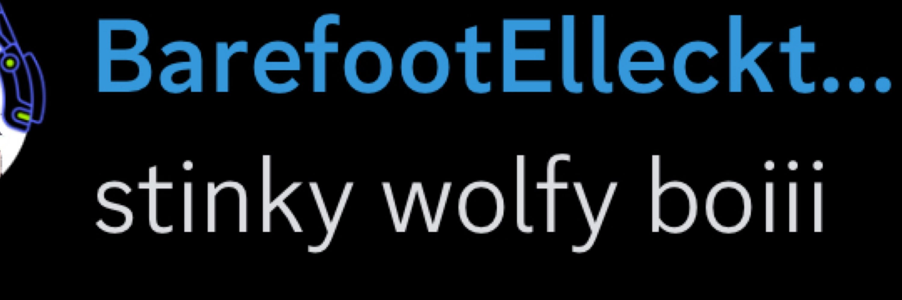 Raz Wolfe