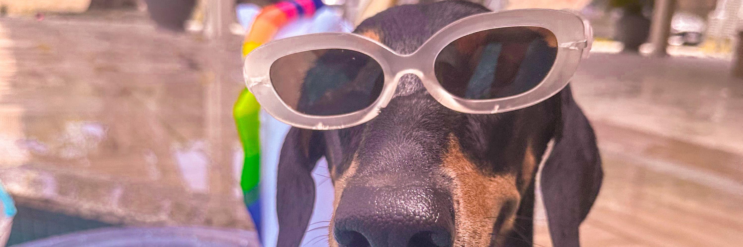 Julizinha