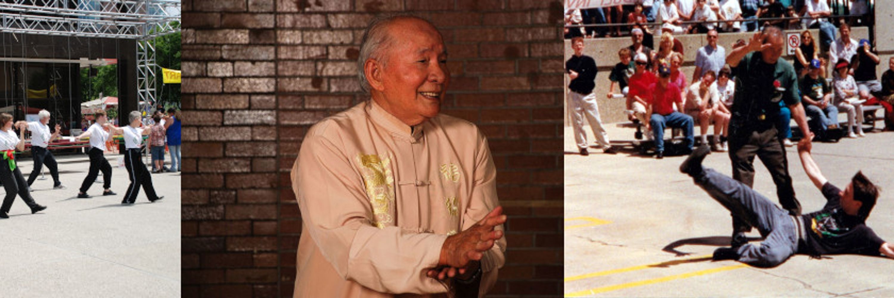Master Lee's Tai Chi Praying Mantis Kung Fu