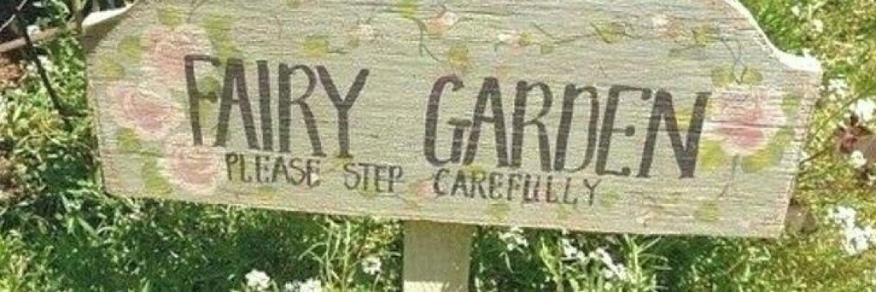 carol 🪸