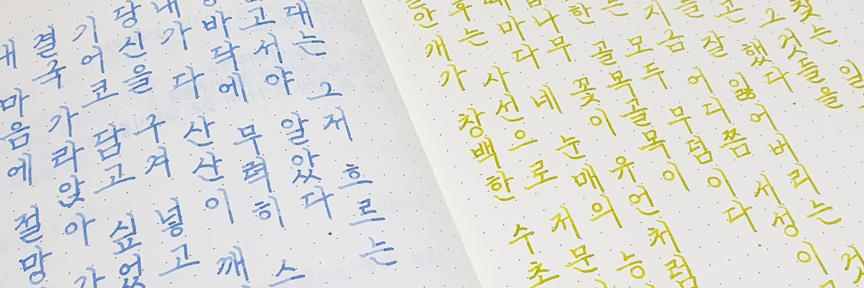 샴푸