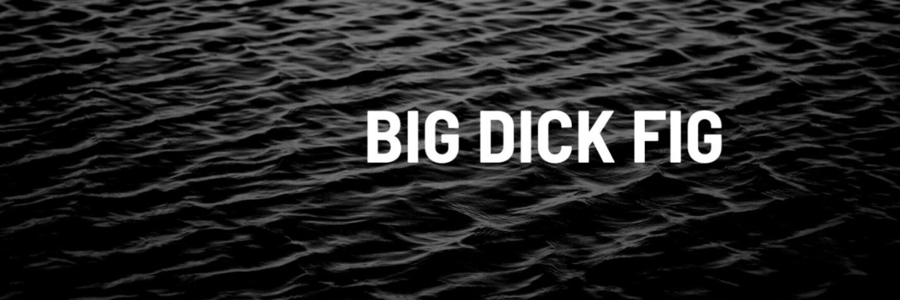 BIG DICK FIG