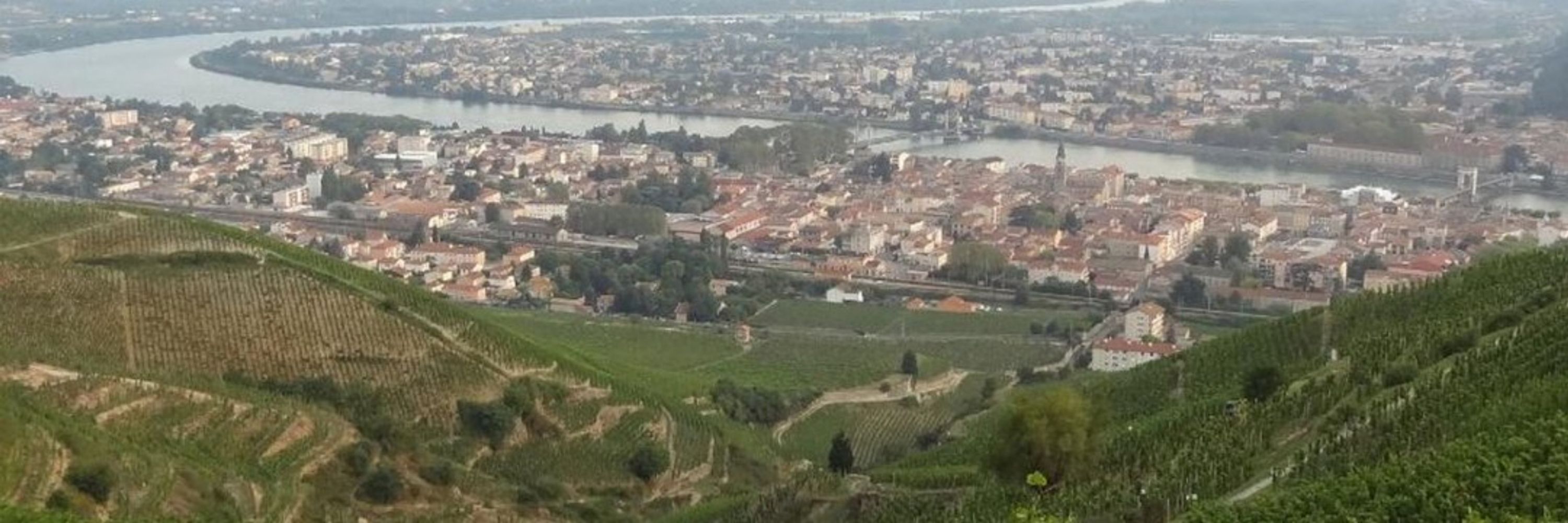 A Tournier