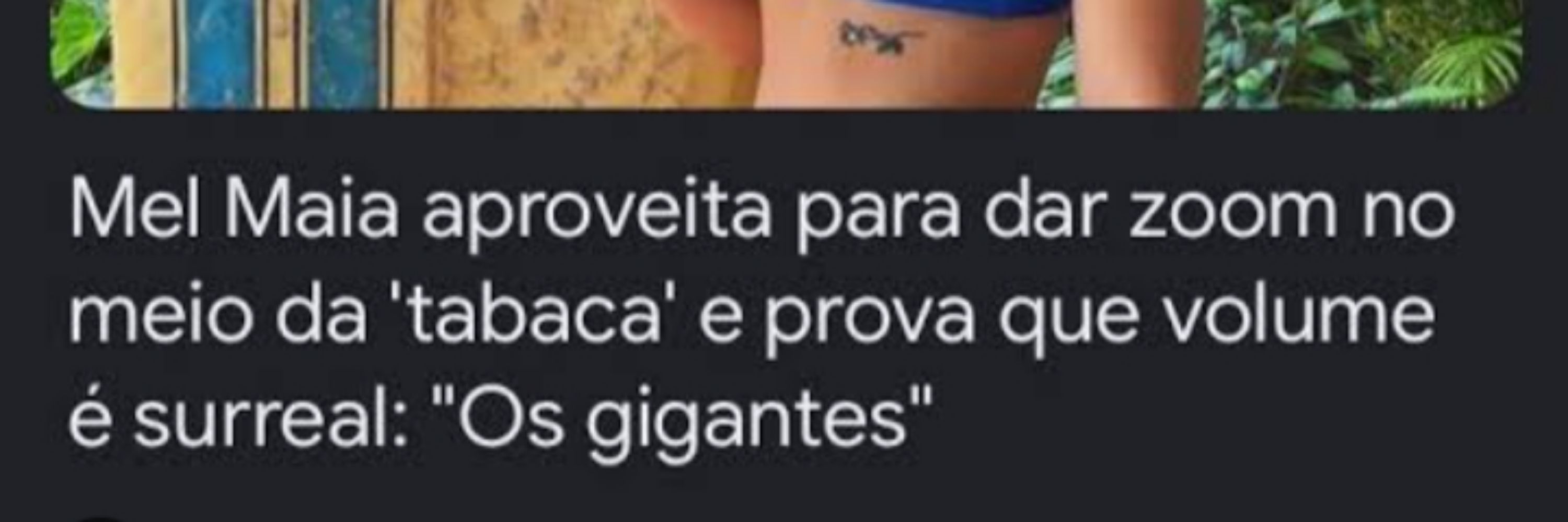 mds (meu deus)