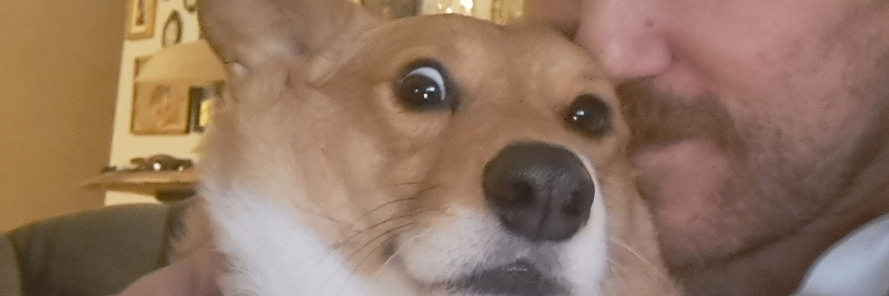 Fucking F-Bomb Swede McFellaface