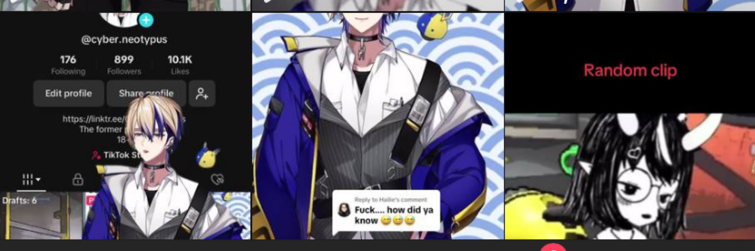 Neotypus Vtuber