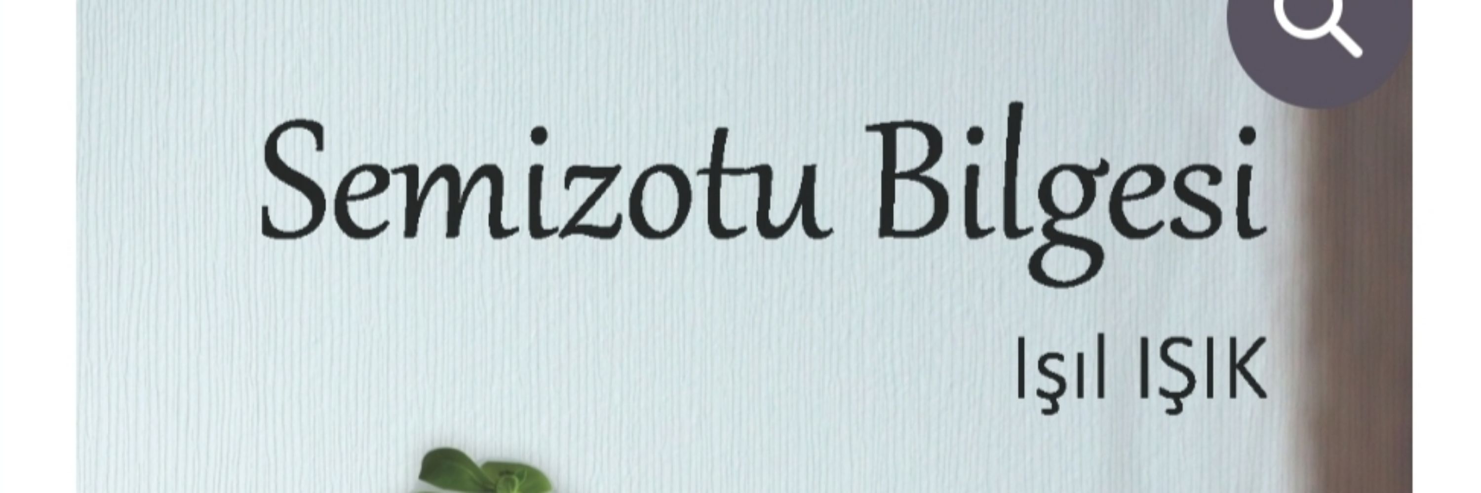 Işıl Işık