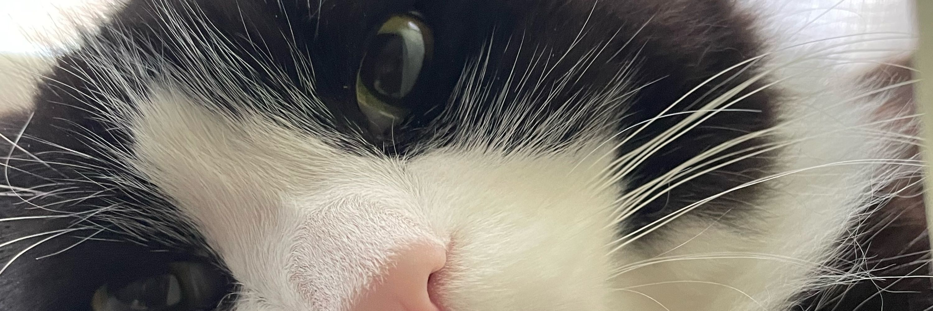 akiaco