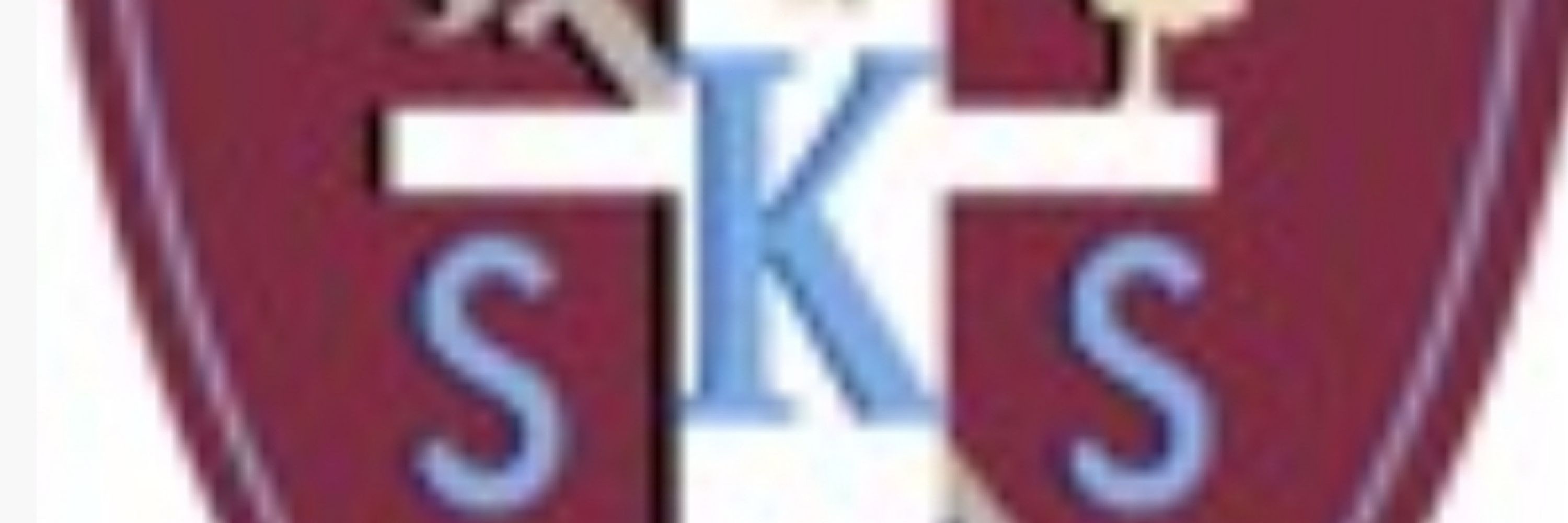 Stkevinsnlc