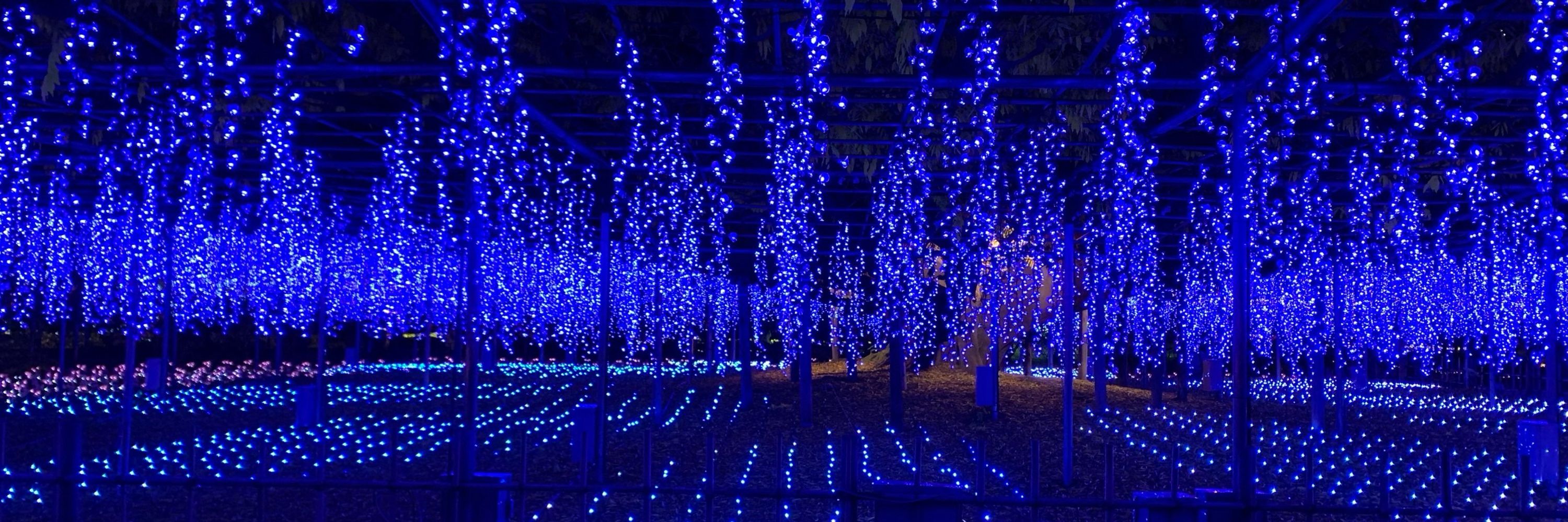 ルイ