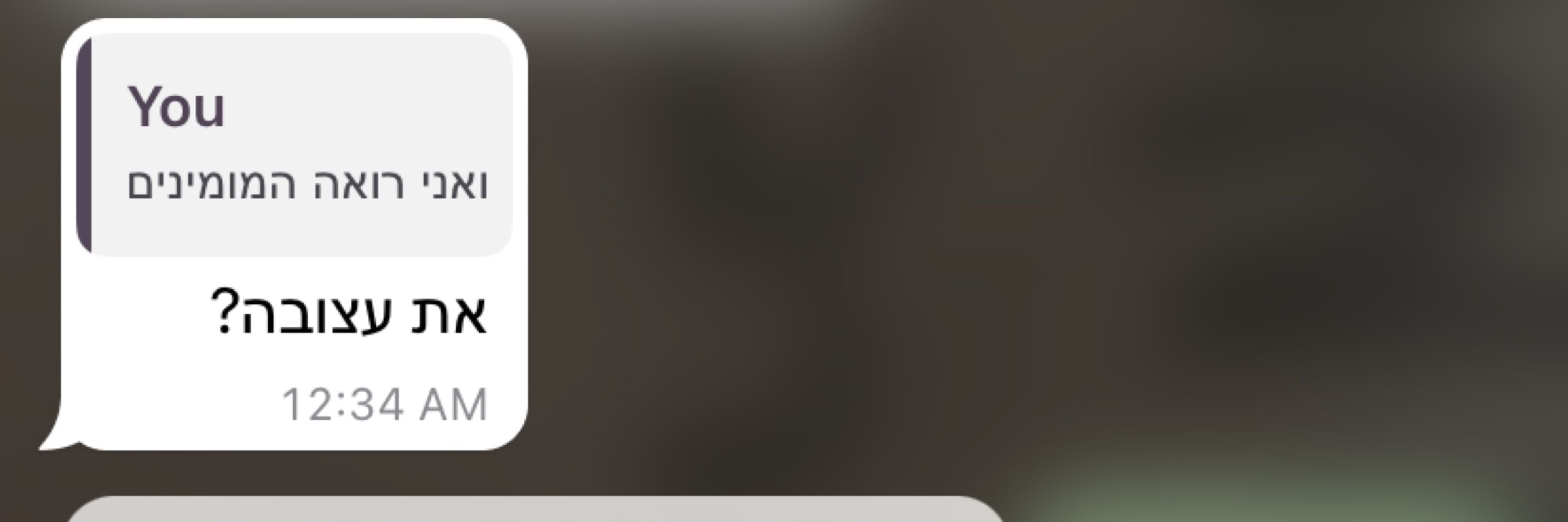 עמיטוסט🦈