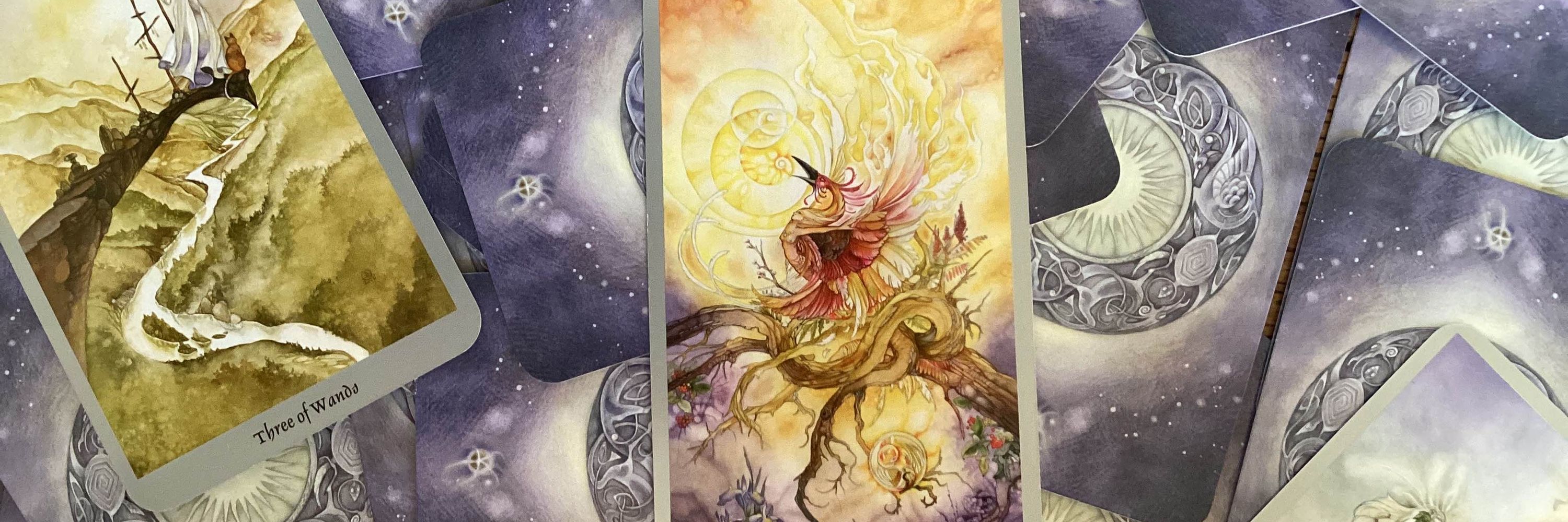 Feather & Flame