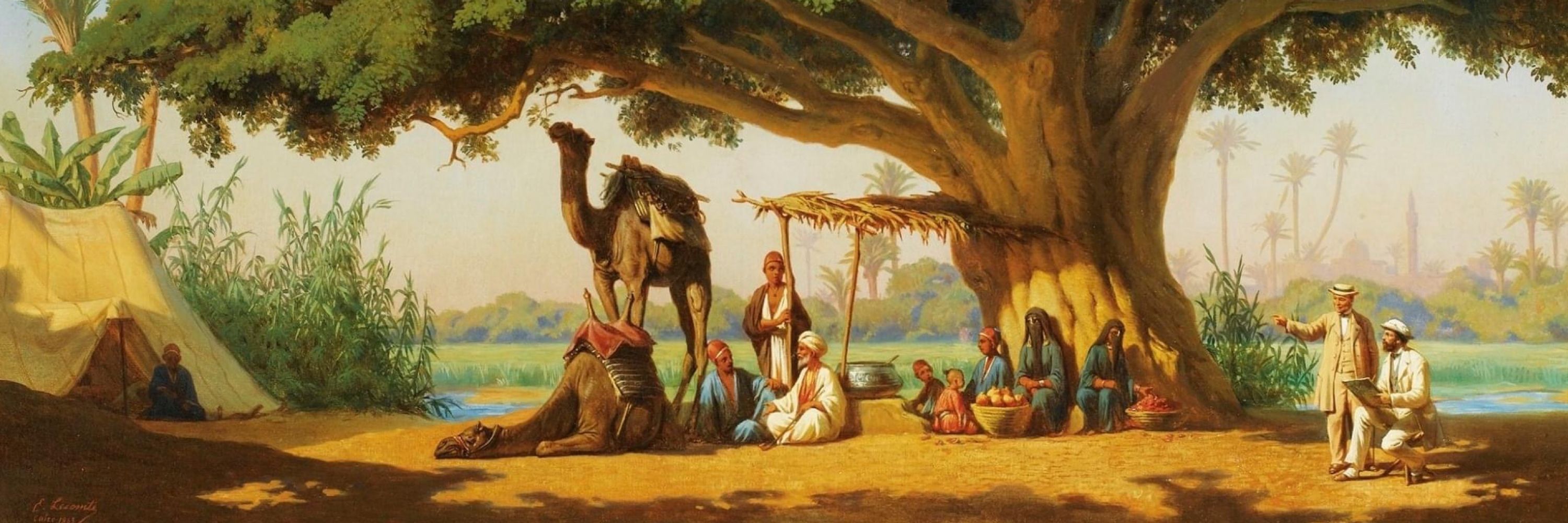 Tamer Ali