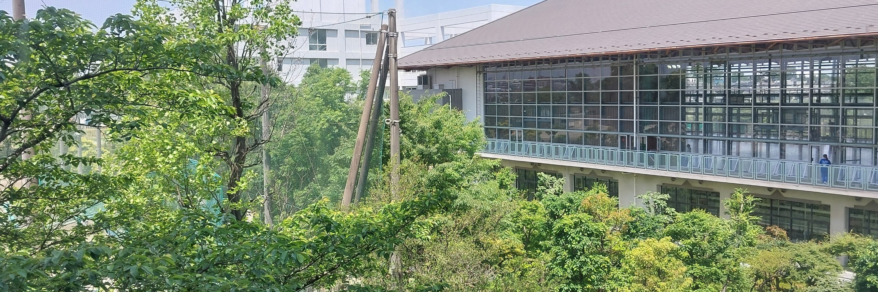 Y. KOSHINO