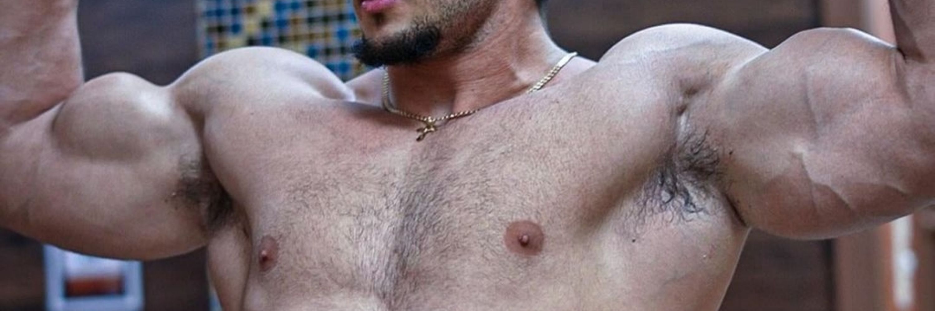 Paraiso dos machos