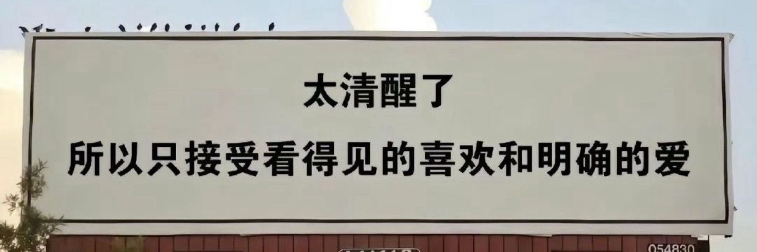 体育老师（互关互推）