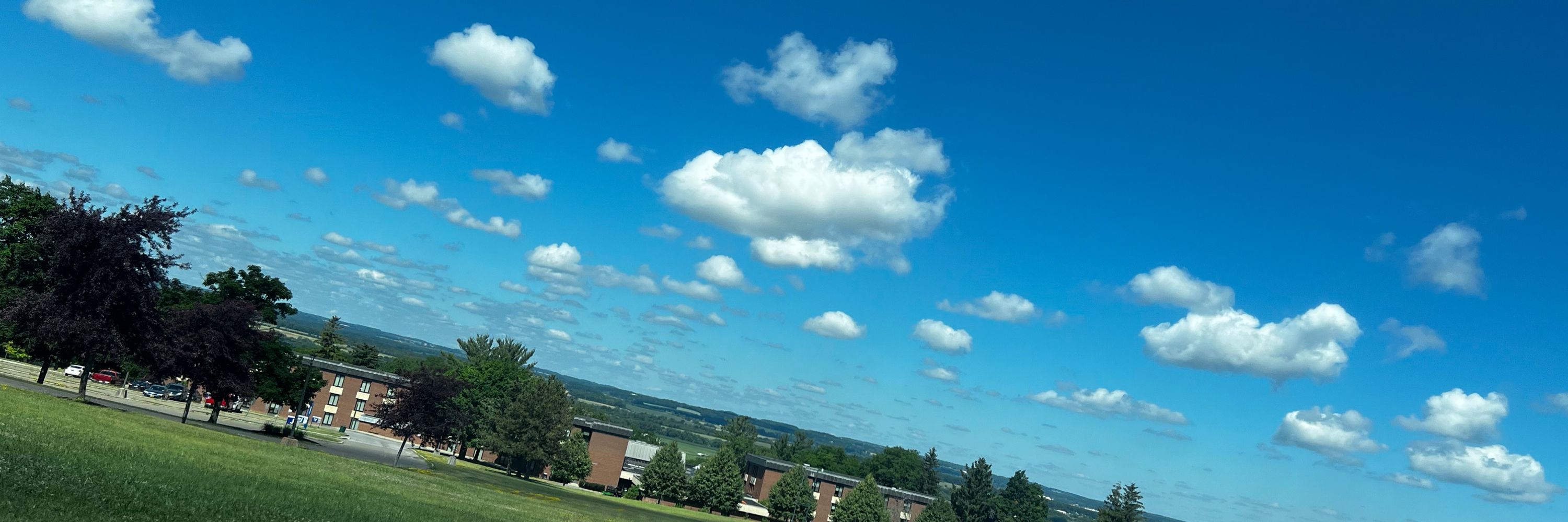Preston