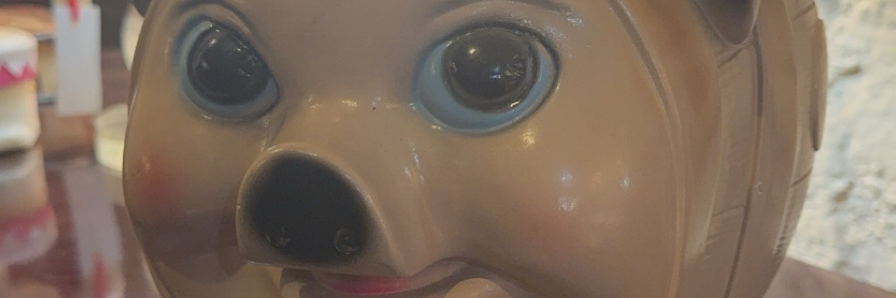 Bonebox Evan