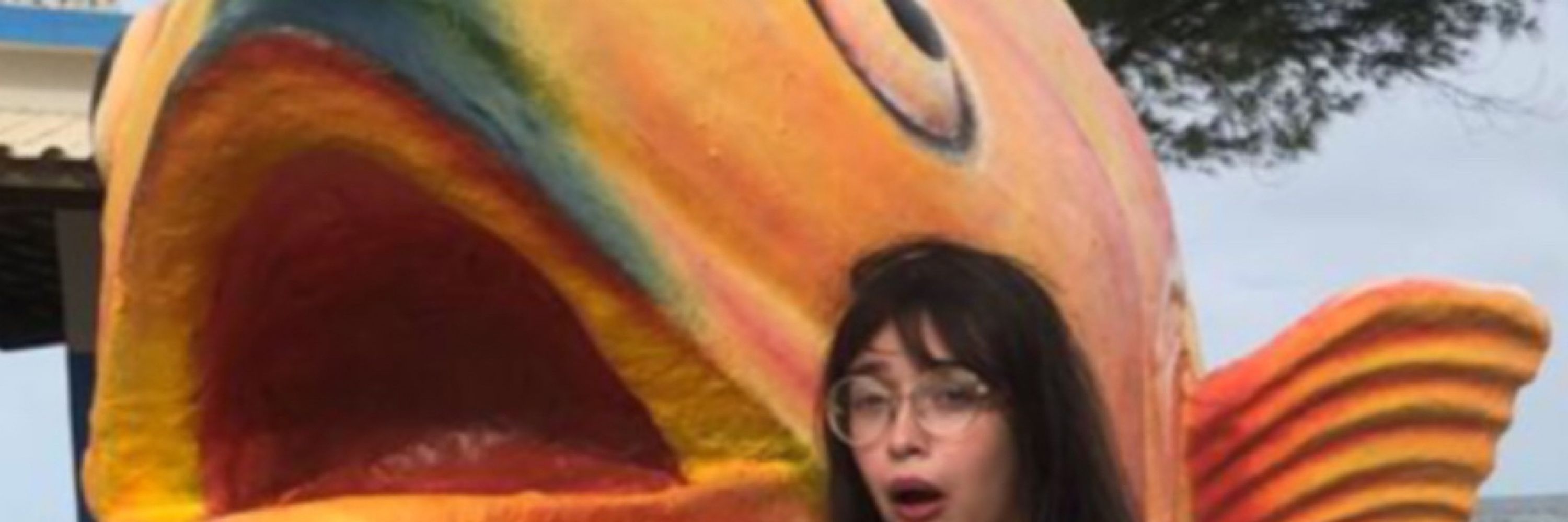Frô