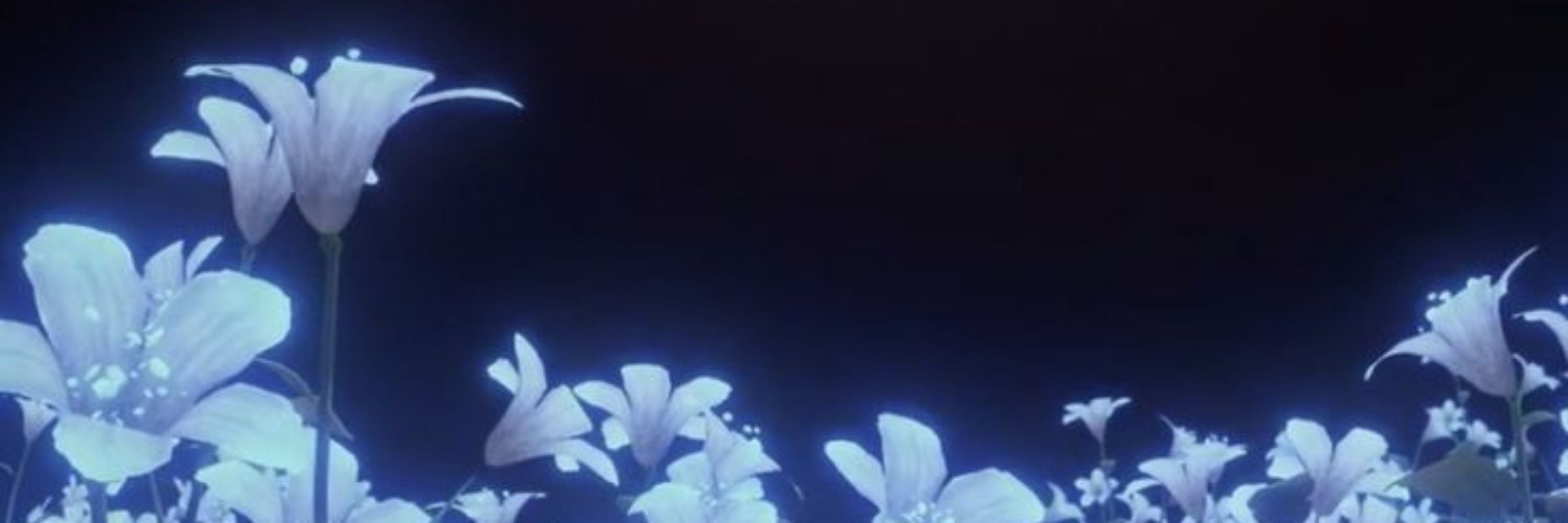 LAN WANGJI