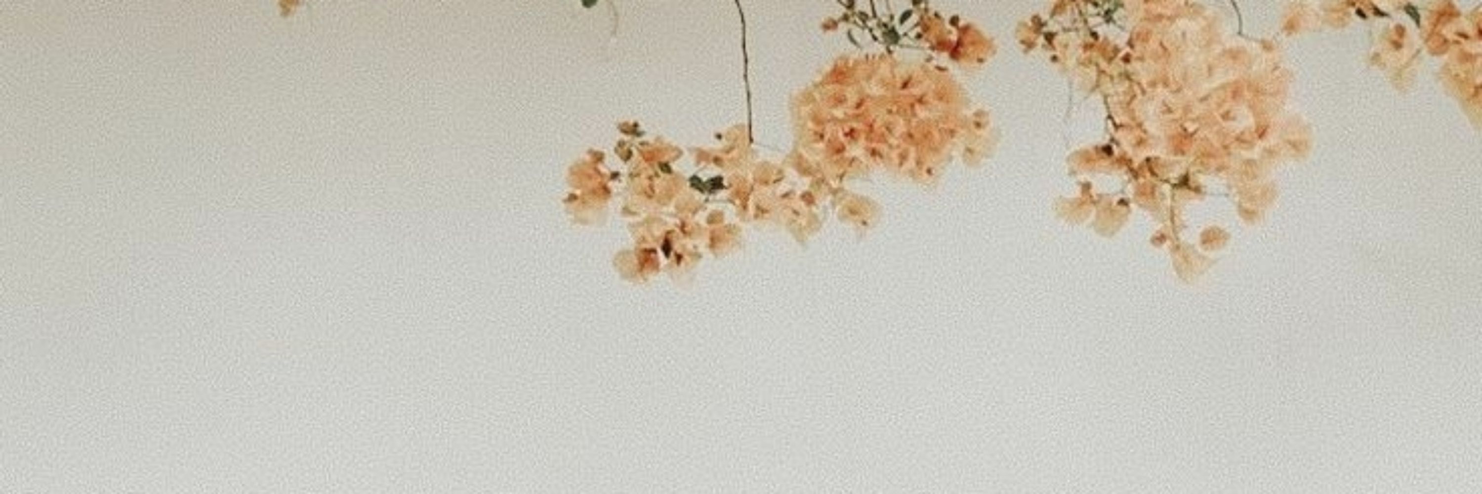 Su ☁️