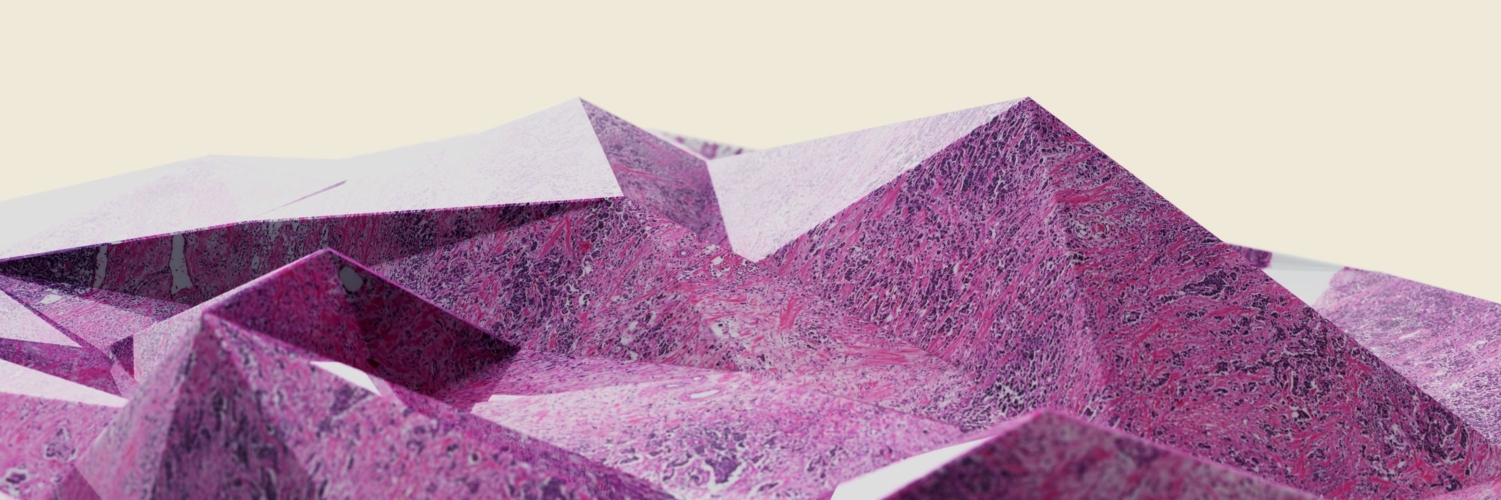 Stratipath