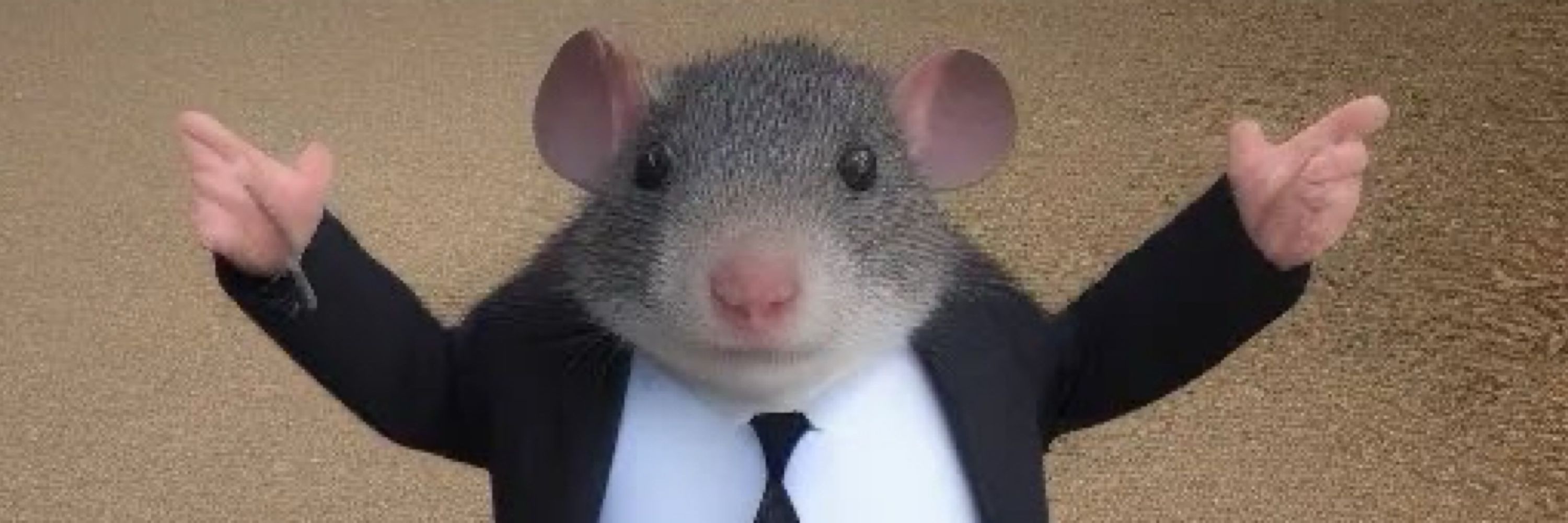 Mousey