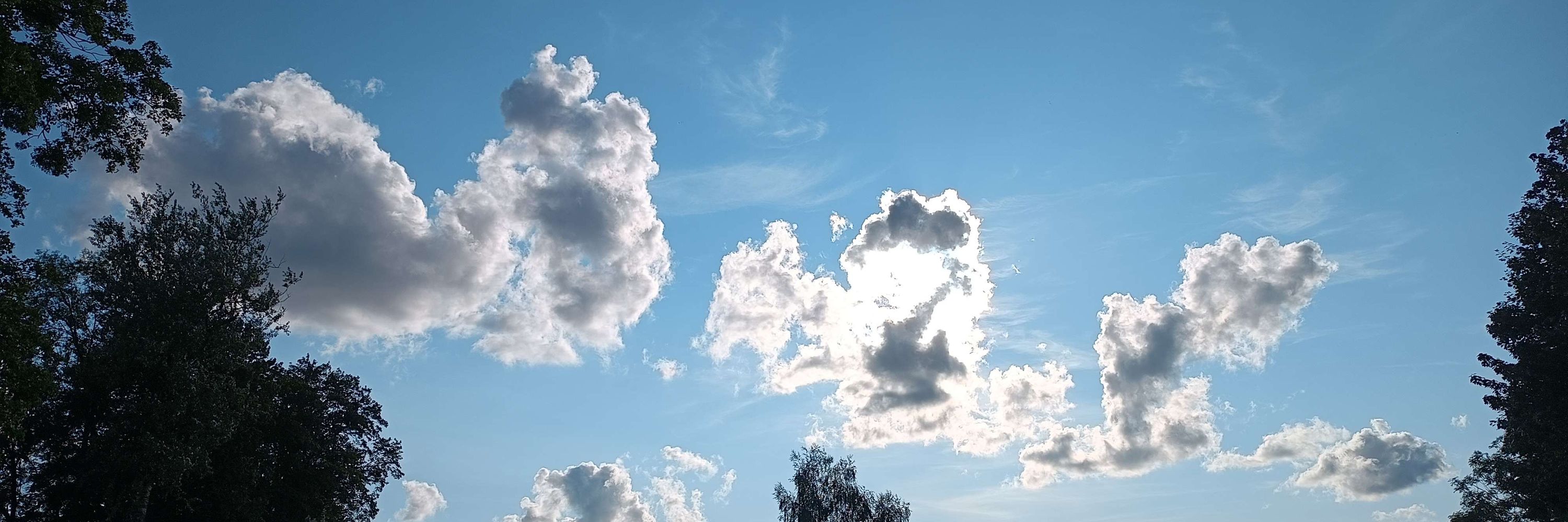 Puper777