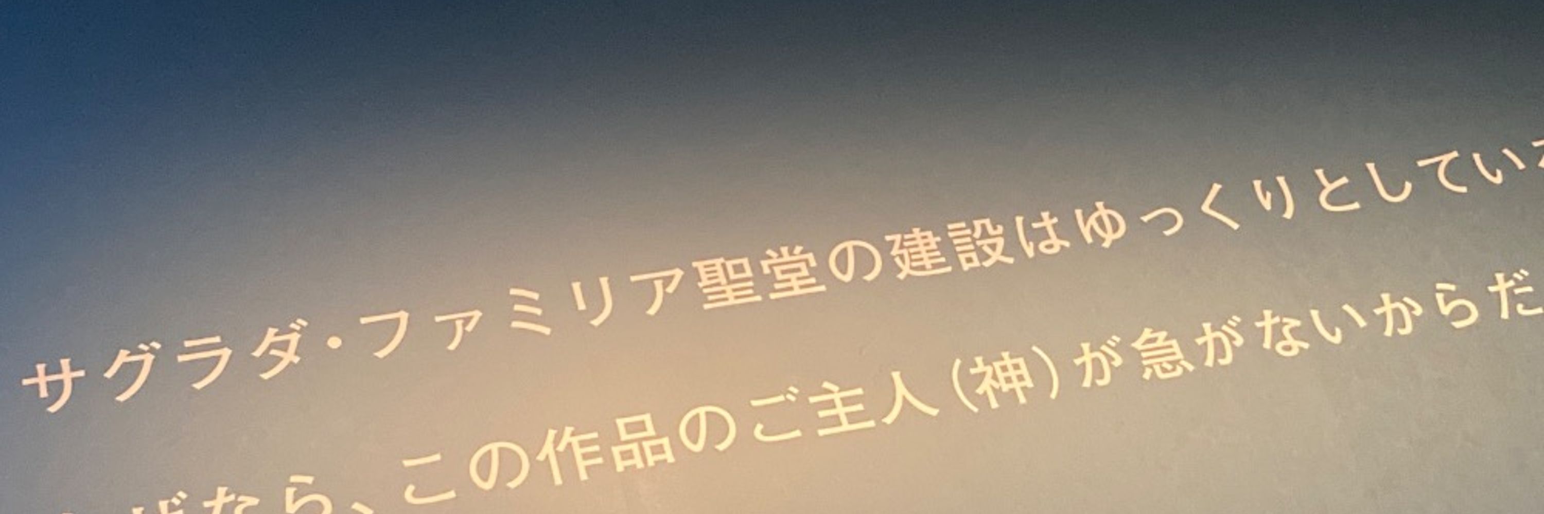 しょこたん