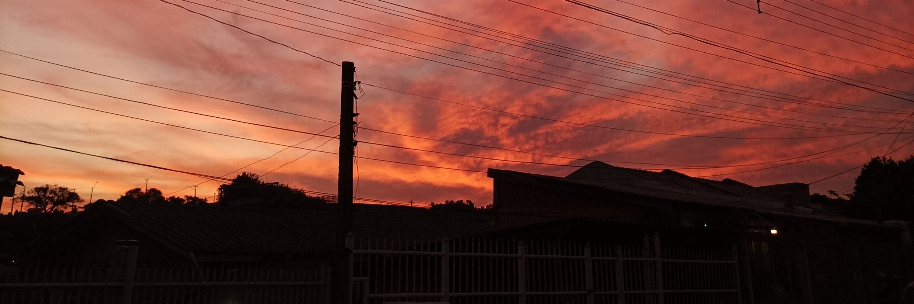 Stellinha