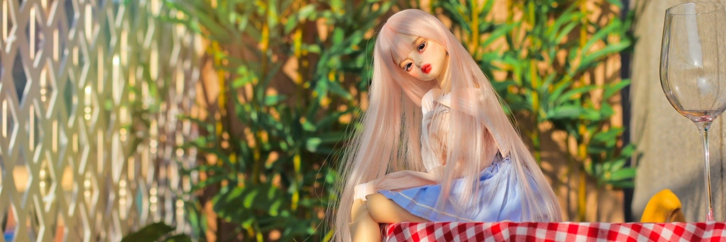 물회