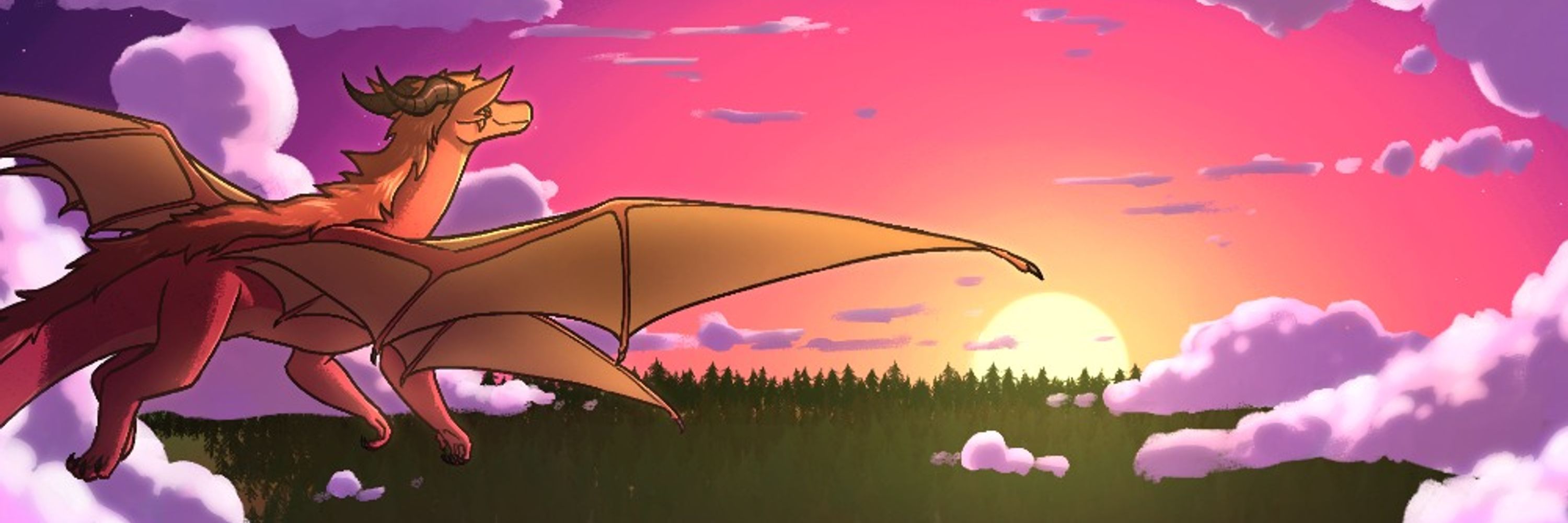 Skyran