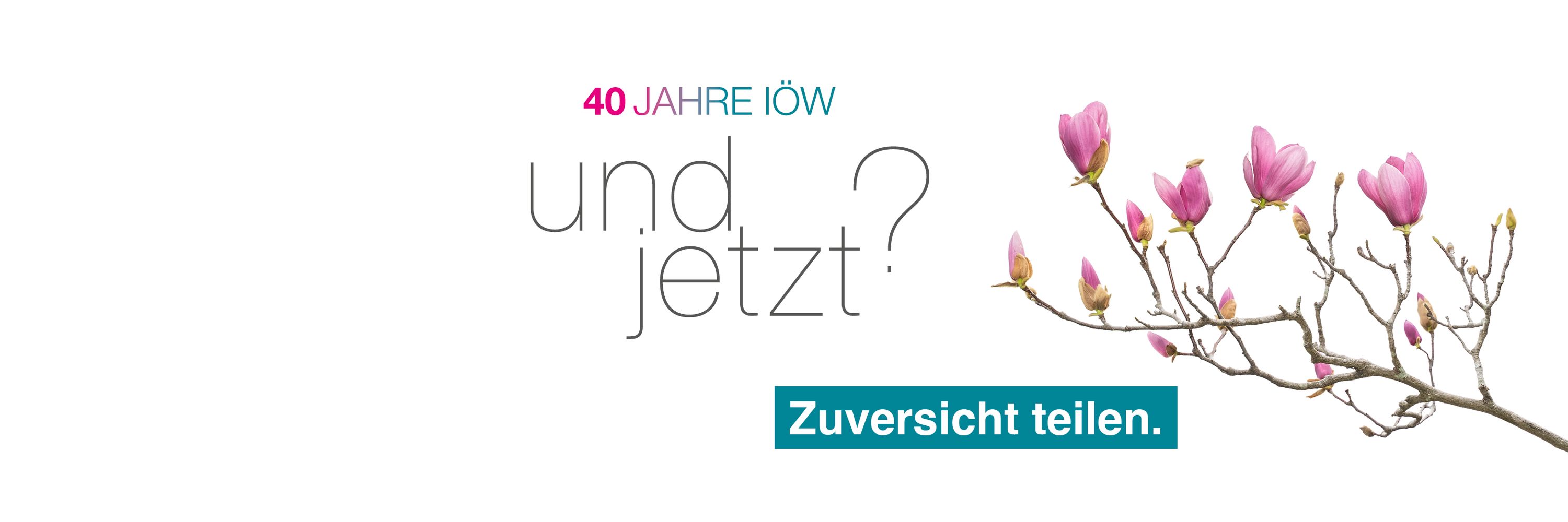 Institut für ökologische Wirtschaftsforschung (IÖW)