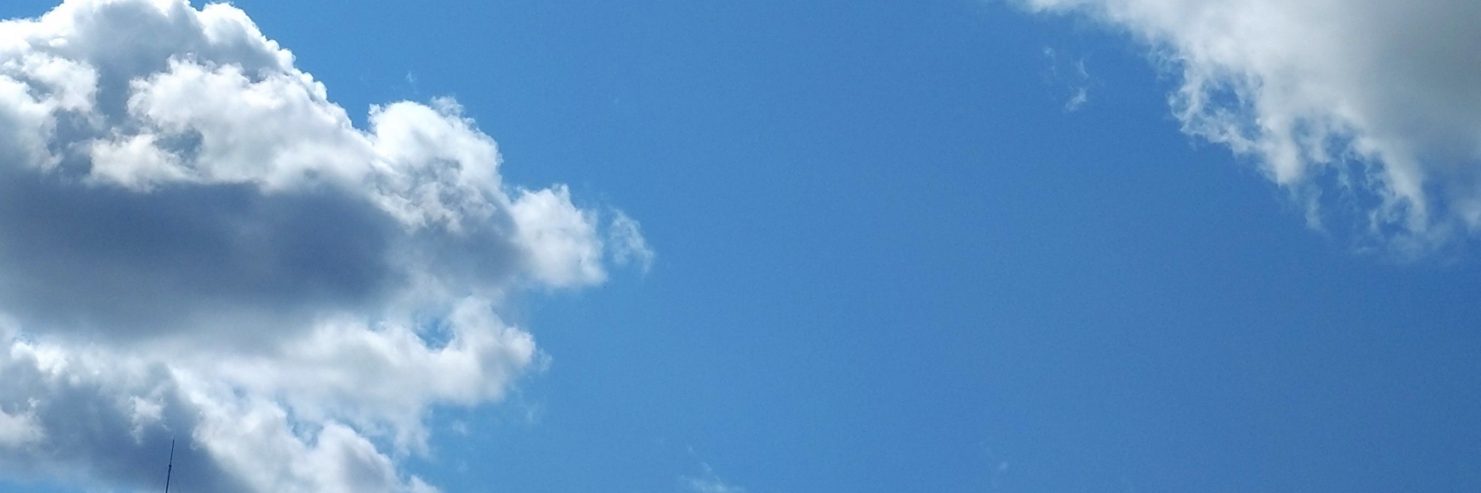佐藤タナ力