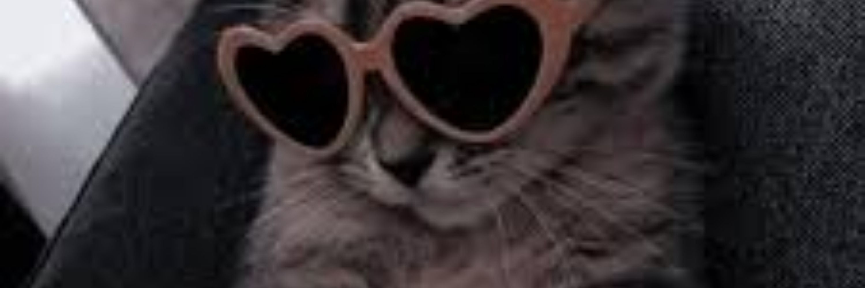 🌺 ღೋHREROHATER_KITೋღ 🌺