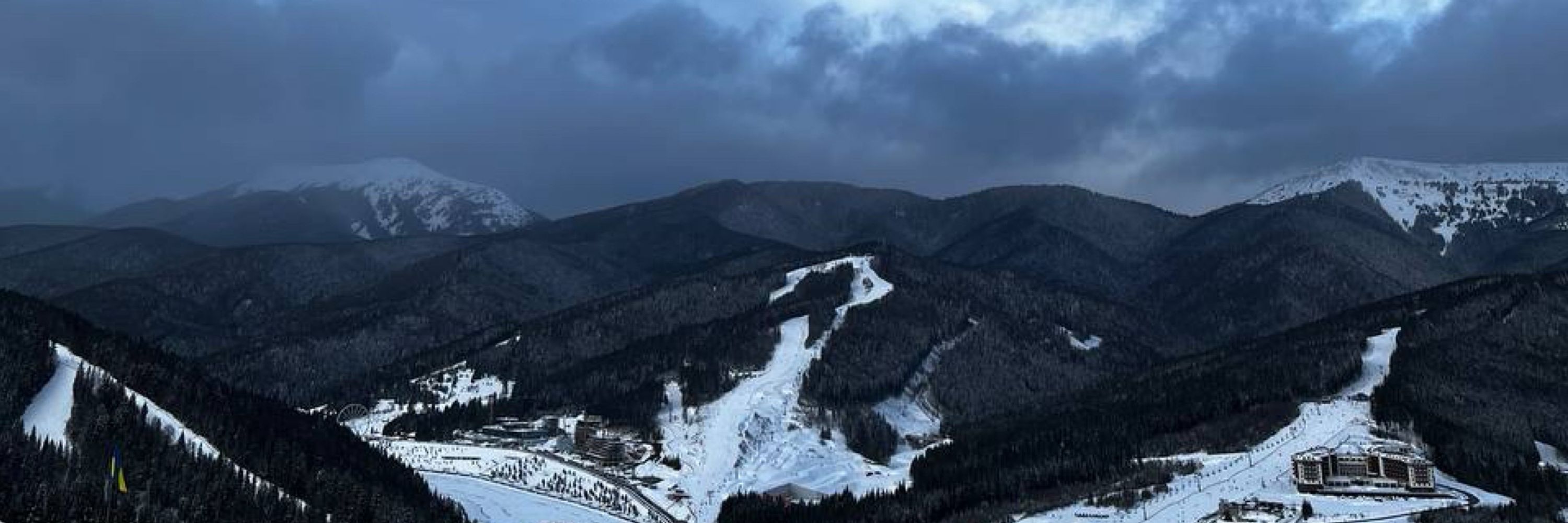 Луполупус