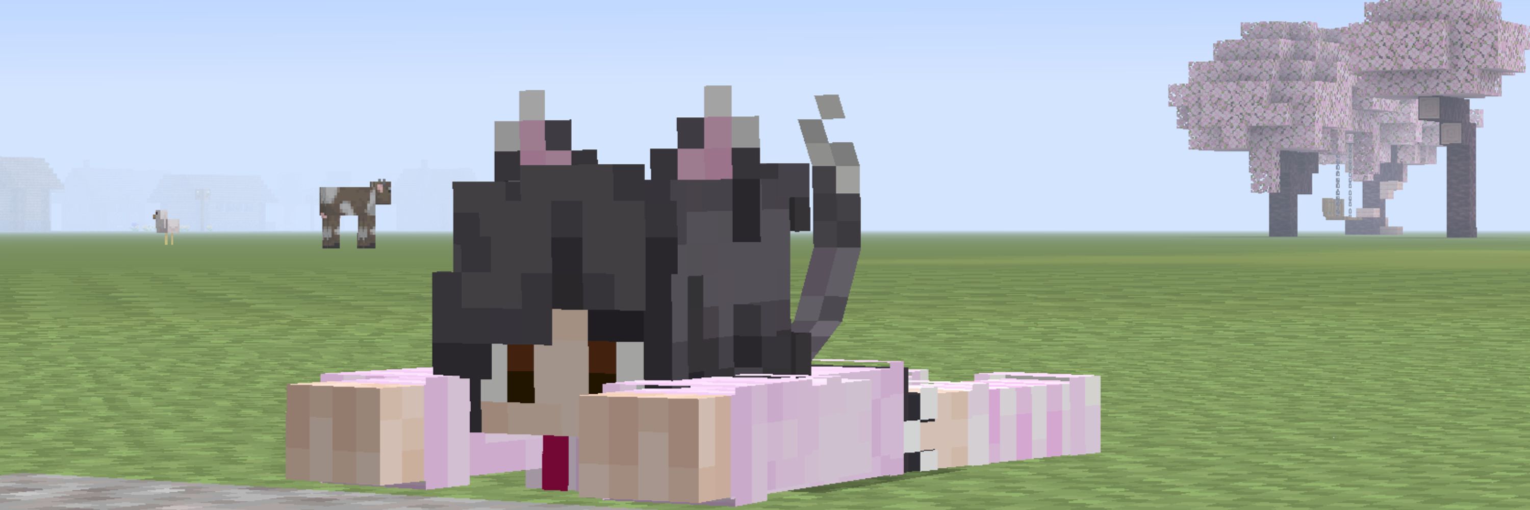 alexmewsonkitty