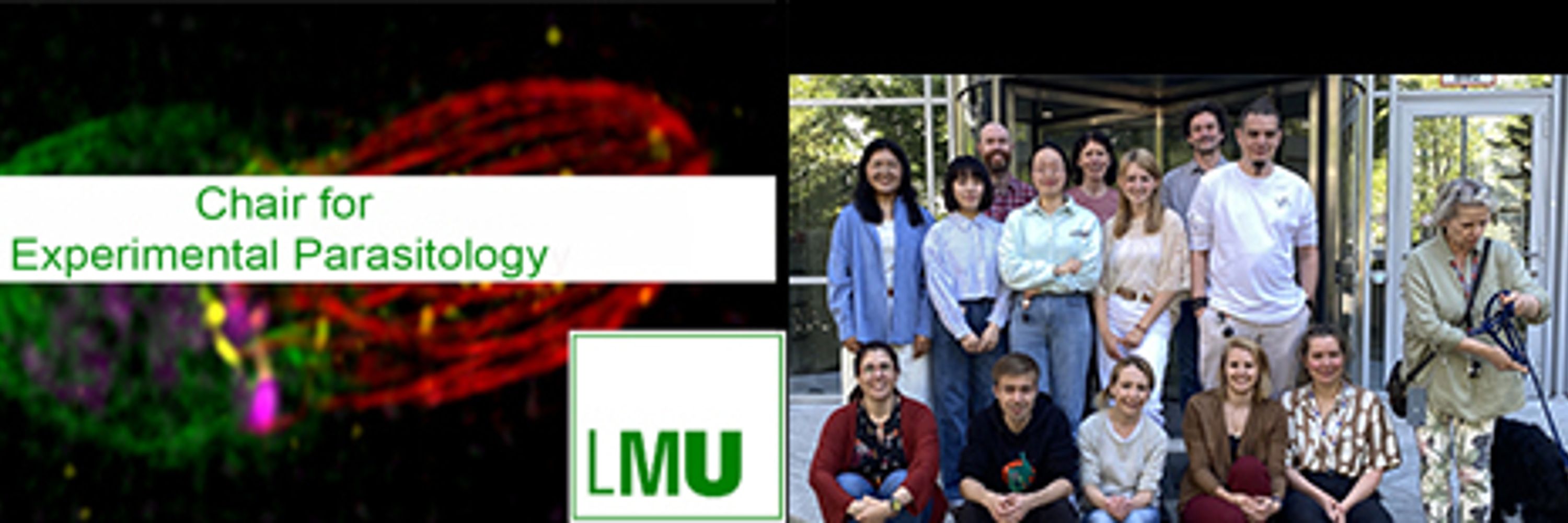 Meissner Lab