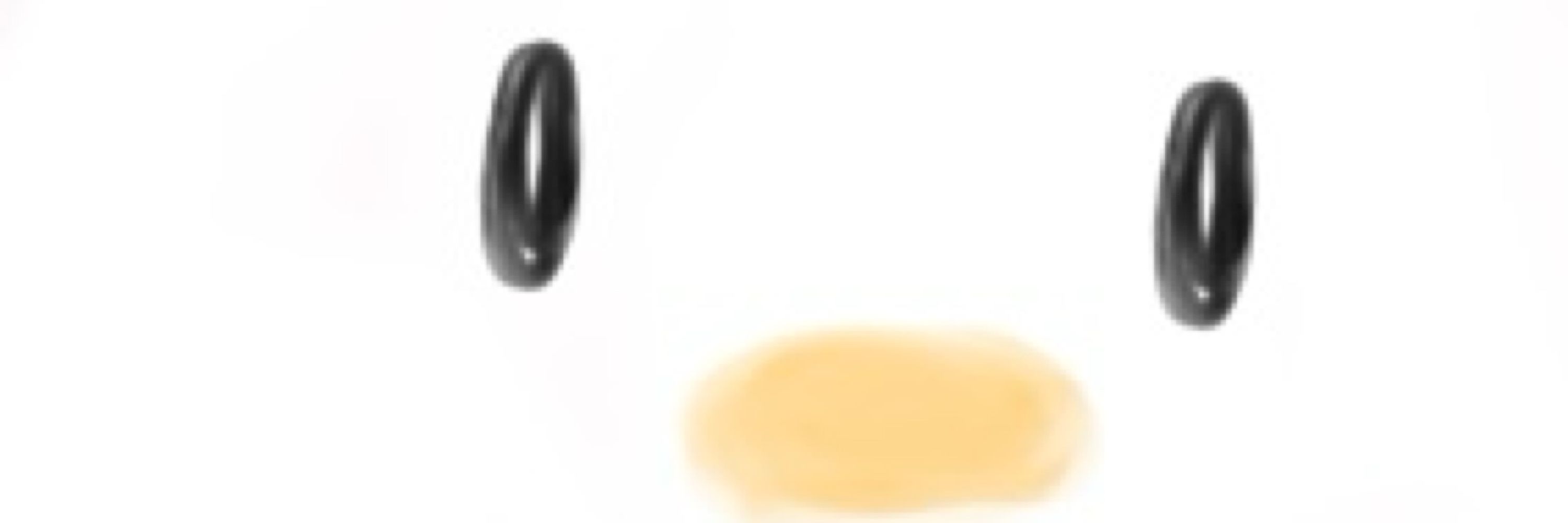 쭈꾸미