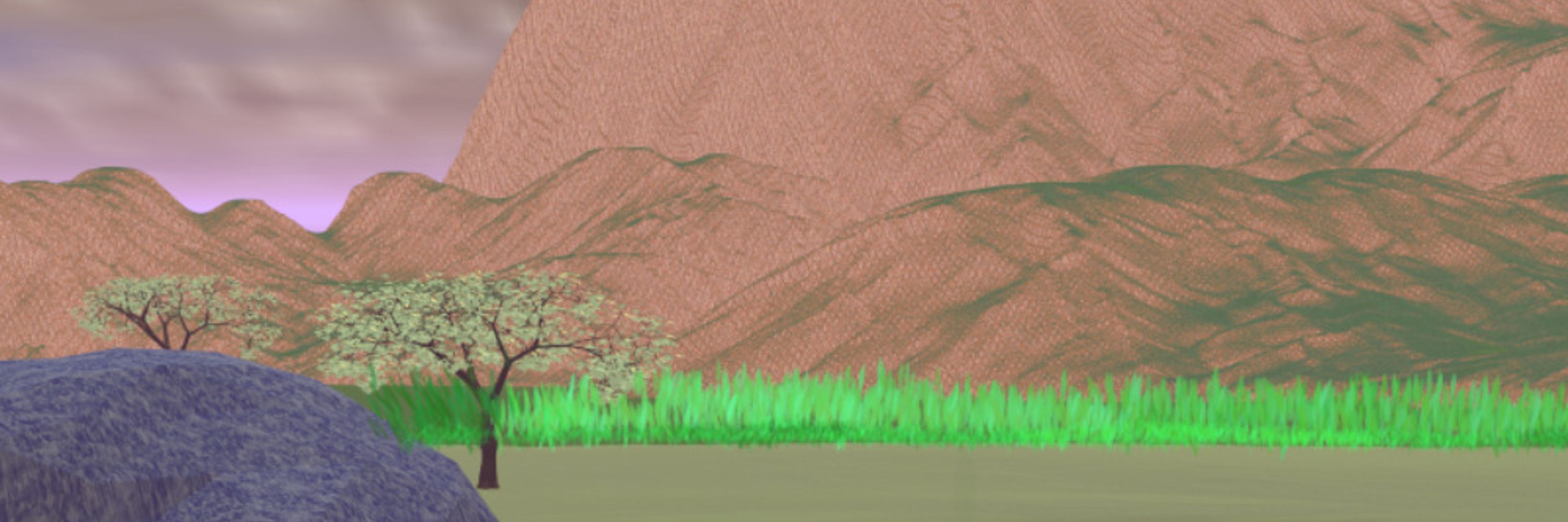 Barafu Pine
