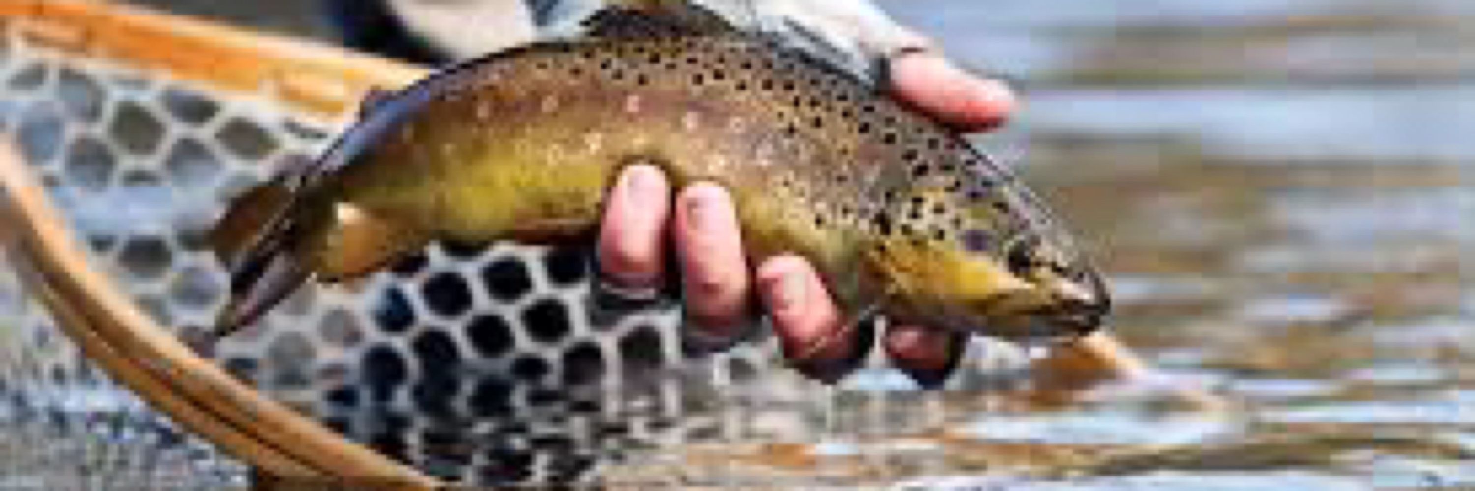 Pennsylvania Fish & Boat Commission