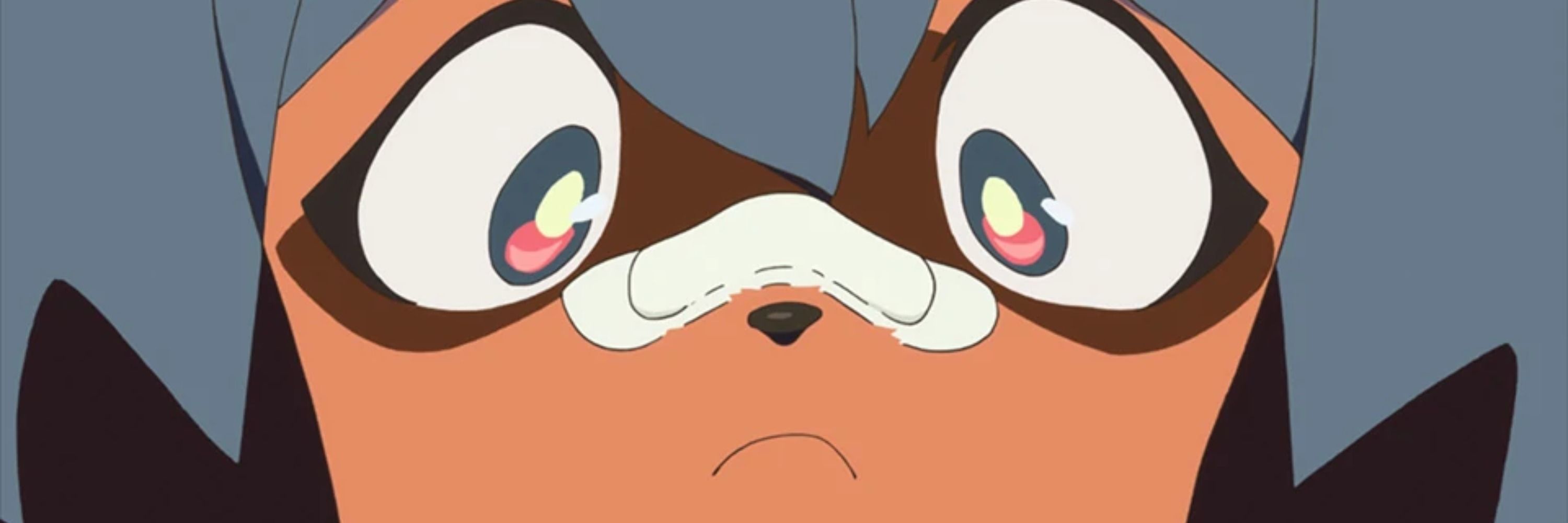 Saymon🦝